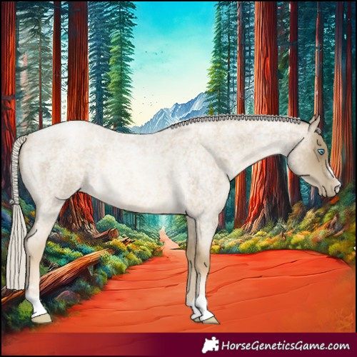 Horse Color:Silver Buckskin Roan Pearl 