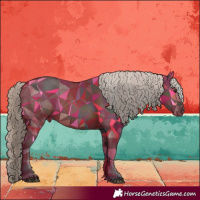 Horse Color:Liver Red Dun Appaloosa 