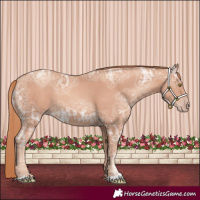 Horse Color:Gold Champagne Ice 
