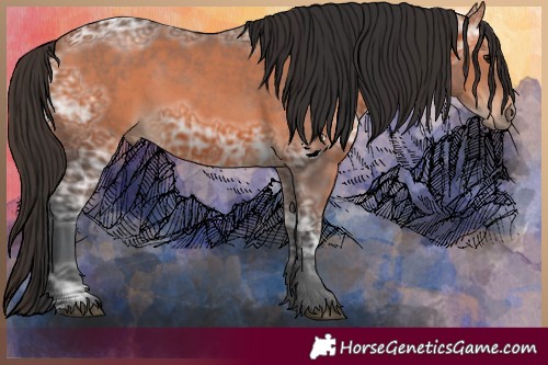 Horse Color:Bay Ice 