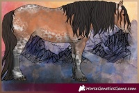 Horse Color:Bay Ice 