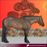 Horse Color:Brown Dun 