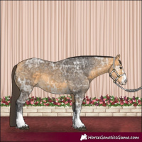 Horse Color:Buckskin Ice 