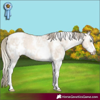 Horse Color:White Spotted Liver Red Dun Ice Pearl Mushroom Sabino 