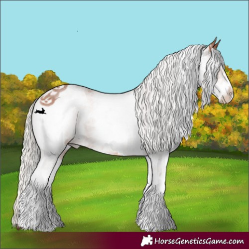 Horse Color:White Spotted Silver Bay Roan 