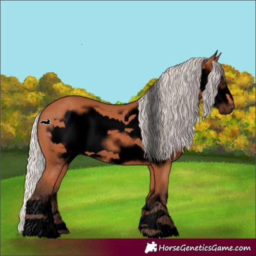 Horse Color:Void Silver Bay Frame