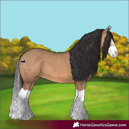 Horse Color:Bay Dun Splash 