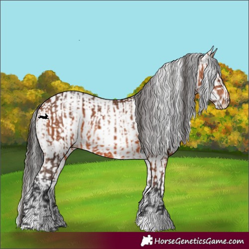 Horse Color:Bay and Bay Dun Sabino Rabicano