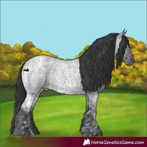Horse Color:Blue Ice Roan Rabicano