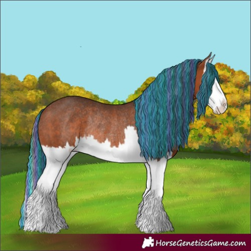 Horse Color:Painted Bay Splash Rabicano