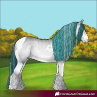 Horse Color:Painted Bay Chinchilla Tobiano Rabicano 