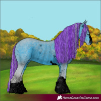Horse Color:ERROR: UNKNOWN ANOMALY