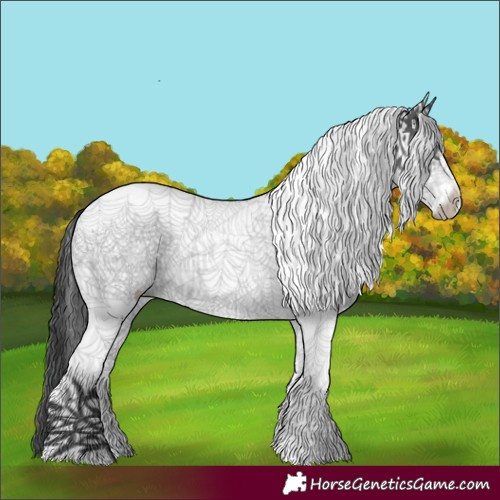 Horse Color:White Spotted Black