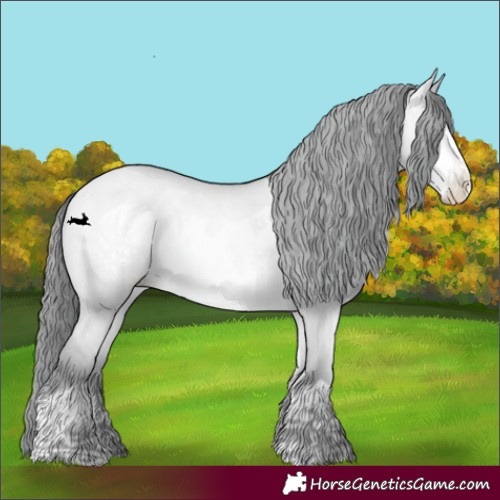 Horse Color:Bay Chinchilla Pearl Dun Frame