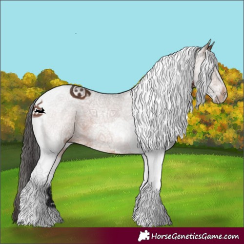 Horse Color:White Spotted Brown Tobiano 