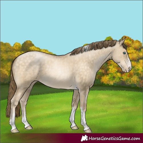 Horse Color:Buckskin Pearl Dun Sabino Tobiano Brindle 