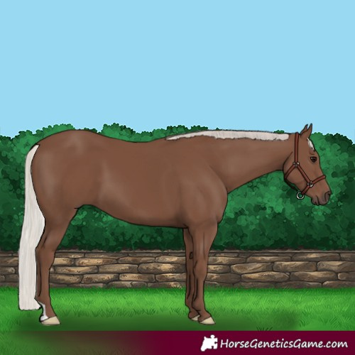 Horse Color:Silver Black 