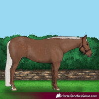 Horse Color:Silver Black