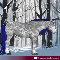 Horse Color:Painted White Spotted Black Ice Tobiano 