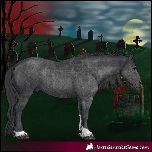 Horse Color:Black Tobiano 