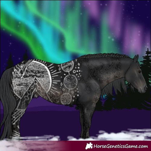 Horse Color:Black Ice Rabicano 