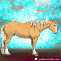 Horse Color:Palomino 