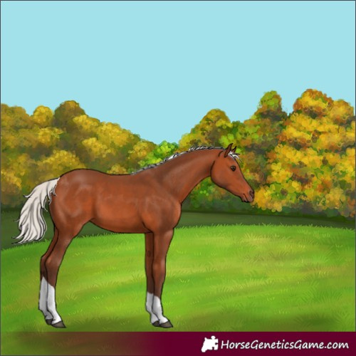 Horse Color:Silver Bay Tobiano