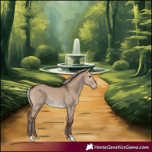 Horse Color:Silver Brown Dun 