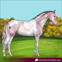 Horse Color:Watercolor Silver Brown Onyx Tobiano 