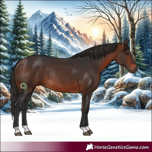 Horse Color:Bay Rabicano 