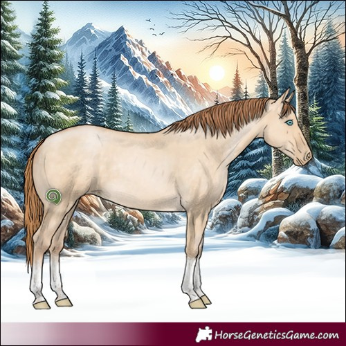 Horse Color:Buckskin Pearl Dun Tobiano Rabicano 