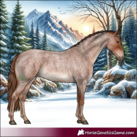 Horse Color:Red Roan 