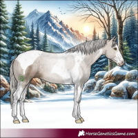 Horse Color:White Spotted Silver Brown Dun Tobiano 