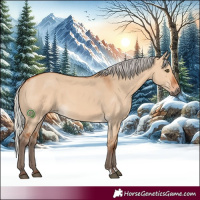 Horse Color:Silver Bay Dun 