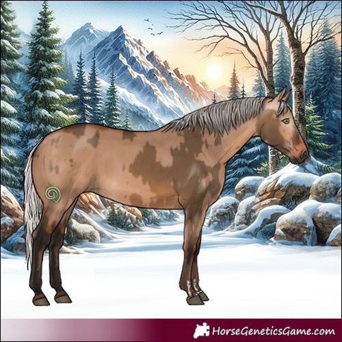 Horse Color:Gray Silver Brown Dun  and Silver Brown Dun 