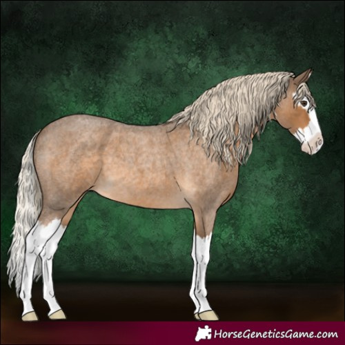 Horse Color:Chocolate Palomino Roan Splash 