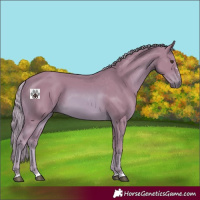 Horse Color:Watercolor Chestnut 