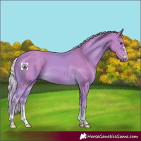 Horse Color:Watercolor Palomino 