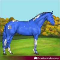 Horse Color:Watercolor Smoky Black Tobiano 