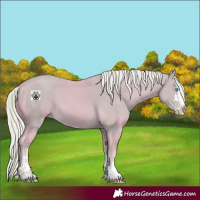 Horse Color:Watercolor Cremello 