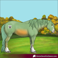 Horse Color:Watercolor Chestnut 