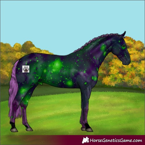 Horse Color:ERROR: UNKNOWN ANOMALY