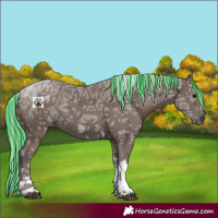 Horse Color:Painted Silver Black Ice Tobiano 