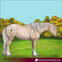 Horse Color:Painted White Spotted Chocolate Palomino Ice Pearl Tobiano 