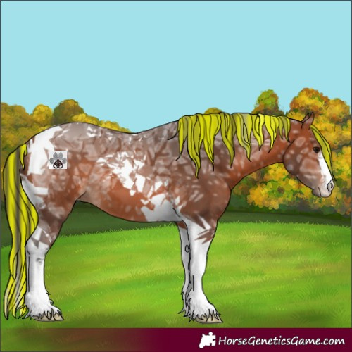 Horse Color:Painted White Spotted Bay Ice Tobiano 