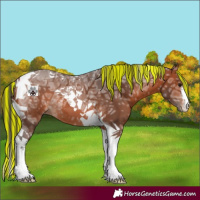 Horse Color:Painted White Spotted Bay Ice Tobiano 
