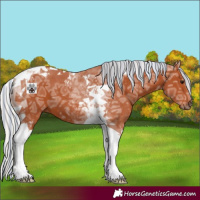 Horse Color:Painted Silver Bay Ice Tobiano 