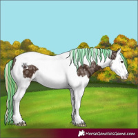 Horse Color:Painted White Spotted Liver Chestnut Ice Splash Tobiano 