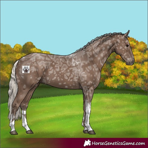 Horse Color:Silver Black Ice Tobiano 