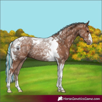 Horse Color:Painted Silver Black Ice Tobiano 